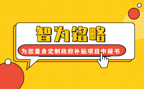 智為銘略為您量身定制2年的政府補貼項目咨詢(xún)方案書(shū)