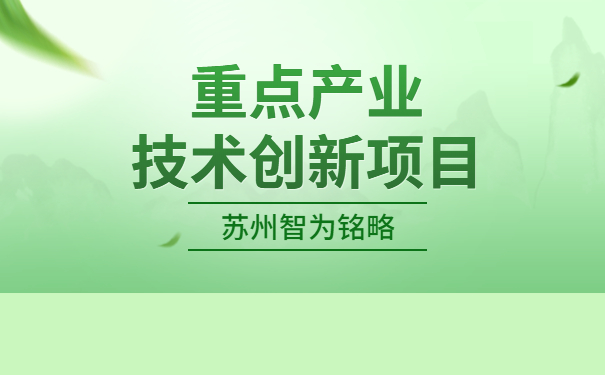 重點(diǎn)產(chǎn)業(yè)技術(shù)創(chuàng  )新