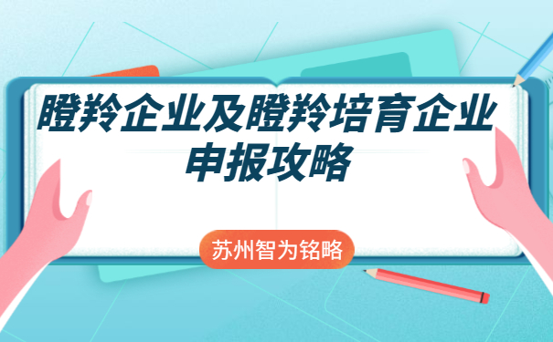 瞪羚培育企業(yè)申報