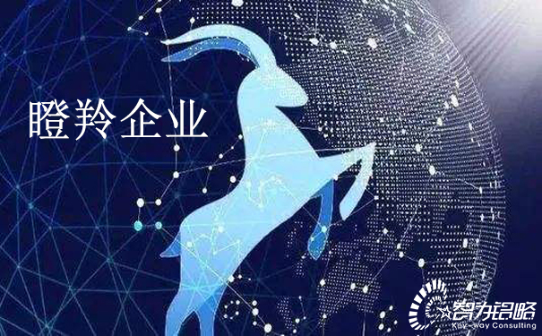 關(guān)于印發(fā)《江蘇省瞪羚企業(yè)培育實(shí)施方案》通知