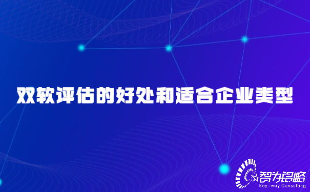 雙軟評估的好處和適合企業(yè)類(lèi)型