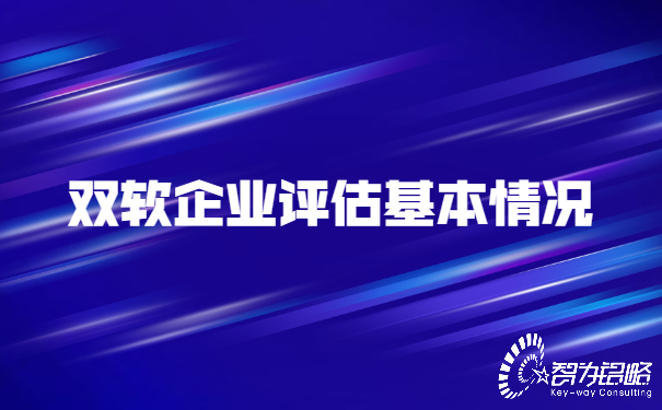 雙軟企業(yè)評估基本情況