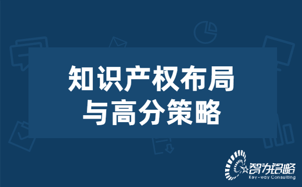 知識產(chǎn)權布局與高分策略.jpg