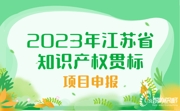 2023年江蘇省知識產(chǎn)權貫標項目咨詢(xún)