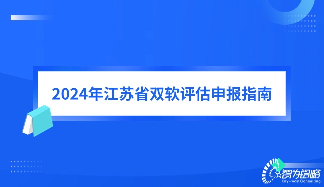 2024年江蘇省雙軟評估申報指南