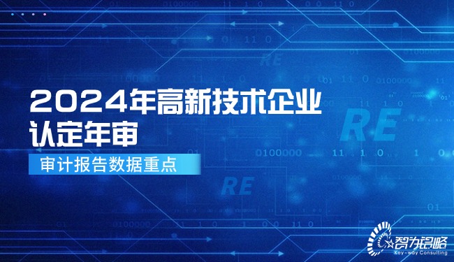 2024年高新技術(shù)企業(yè)認定年審—審計報告數據重點(diǎn).jpg