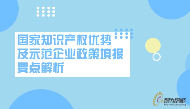 國(guó)家知識(shí)產(chǎn)權(quán)優(yōu)勢(shì)及示范企業(yè)政策填報(bào)要點(diǎn)解析.jpg