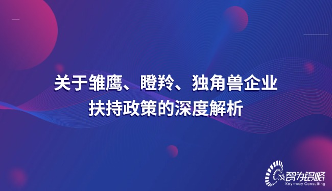 關于雛鷹、瞪羚、獨角獸企業(yè)扶持政策的深度解析.jpg